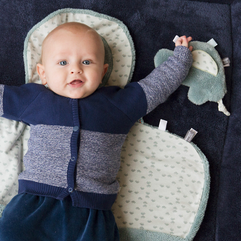 Snoozebaby Sensory Cuddle Toy - Cas Car