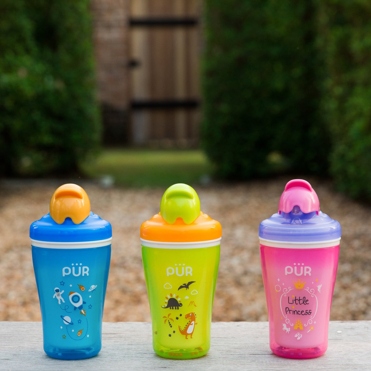 PUR Insulated Cups