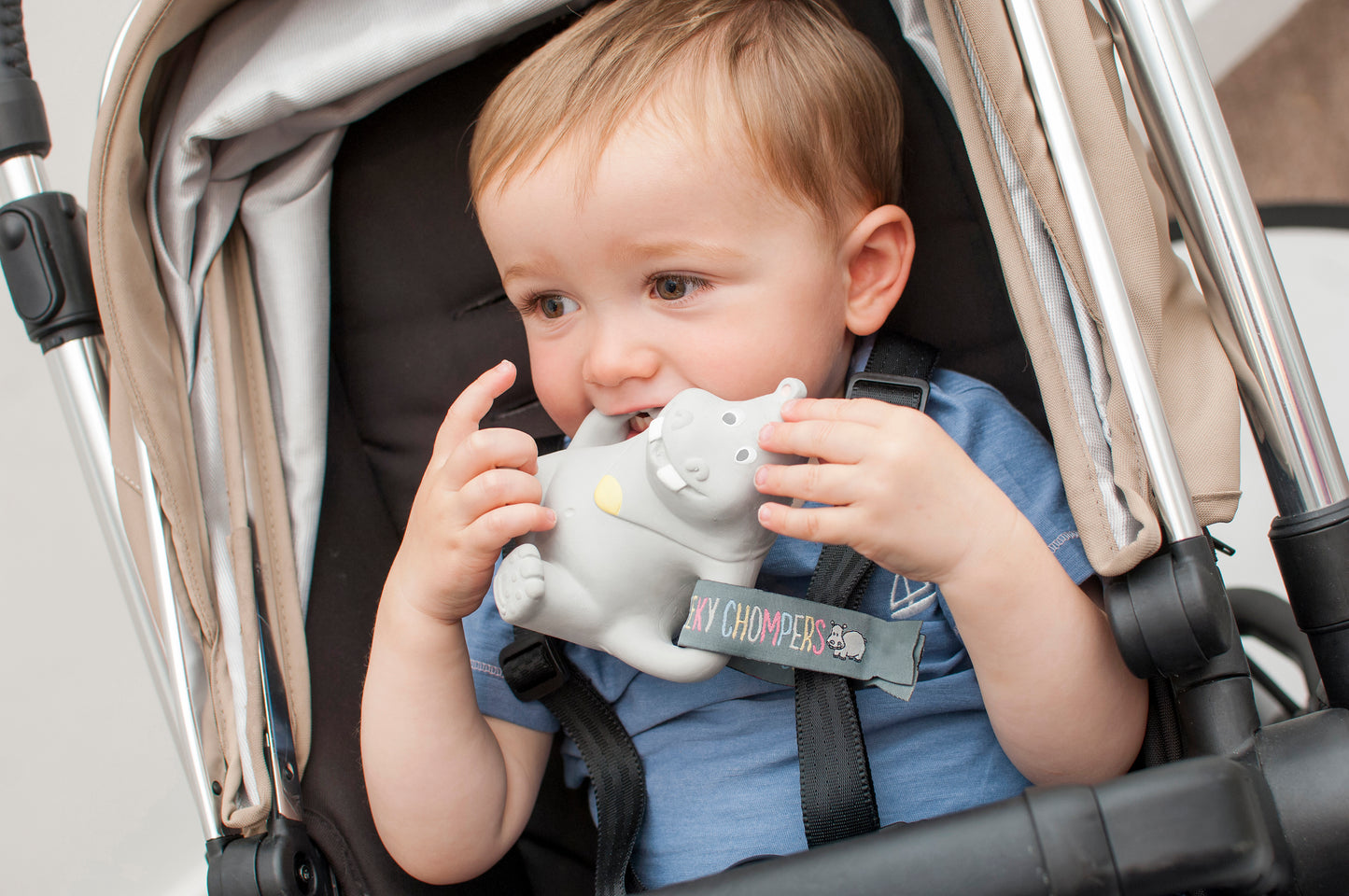 Chewy the Hippo Teether