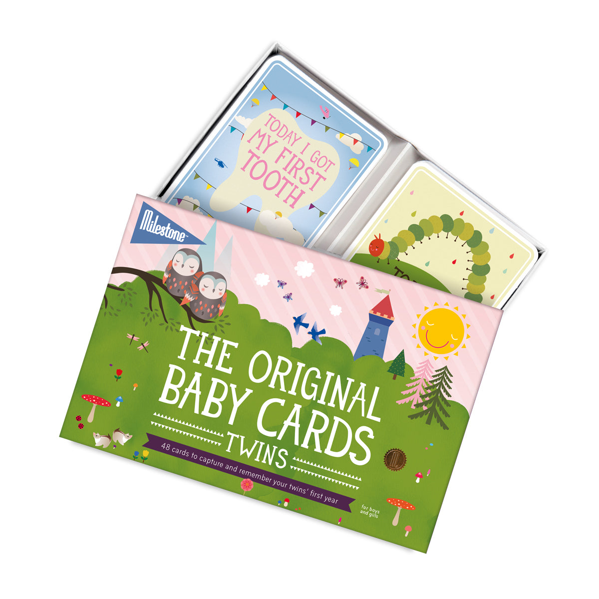 Milestone Baby Photo Cards - Twins