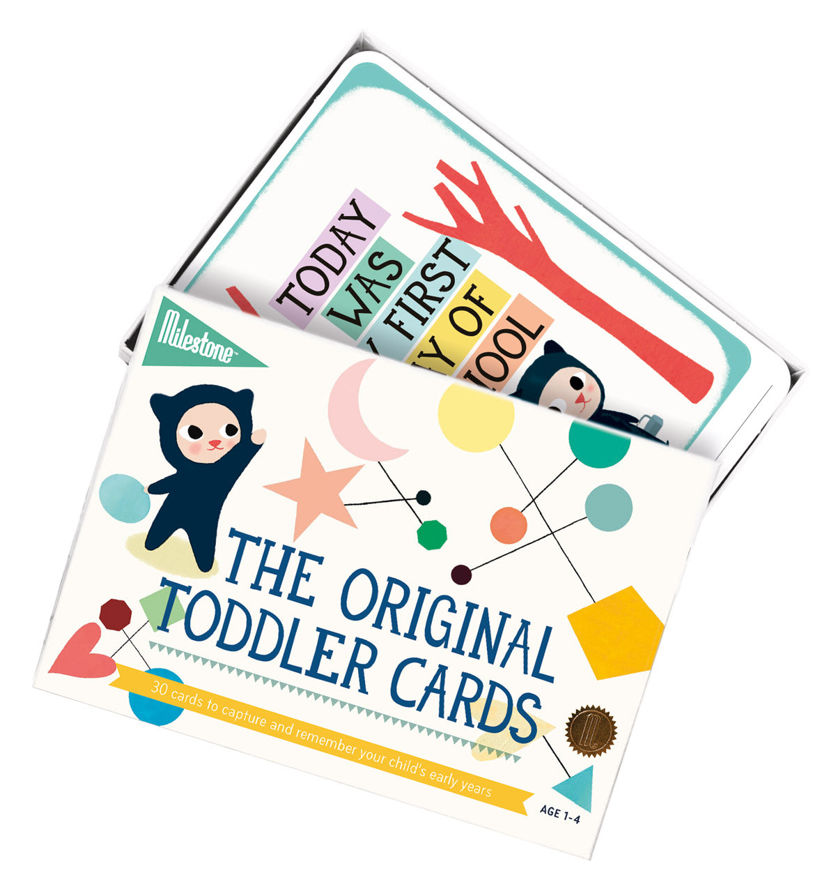 Milestone Toddler Photo Cards