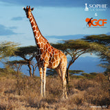 Sophie la girafe® X GCF "Save the Giraffes" Set