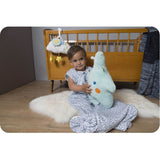 Cuddle Cushion - Mint Jill